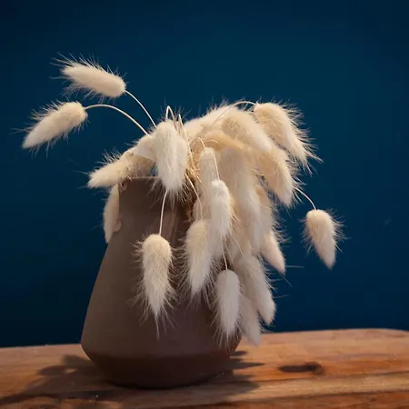 A-mo By Trip2portugal