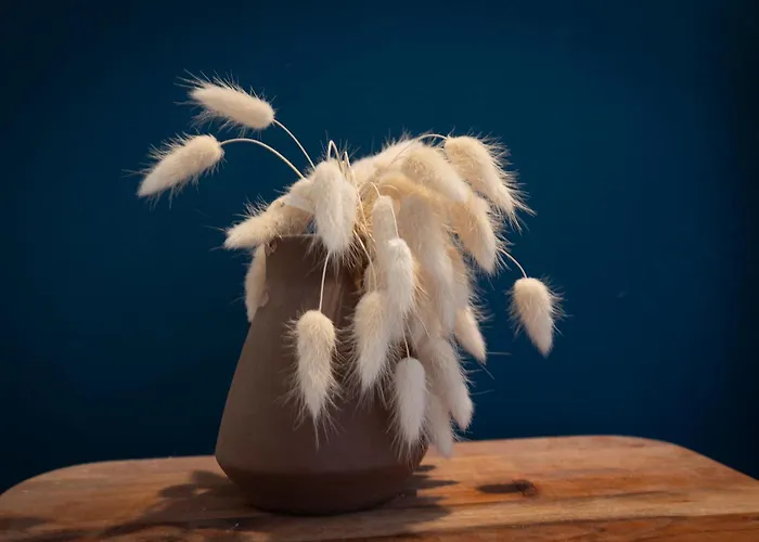 A-mo By Trip2portugal